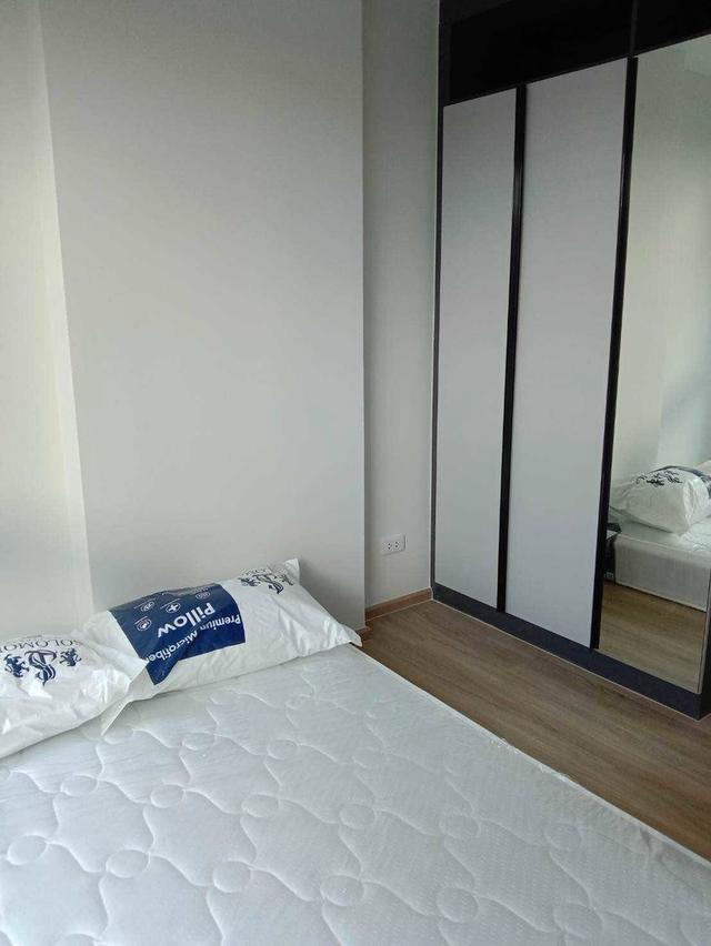 ให้เช่าคอนโด เลี้ยงสัตว์ได้ For Rent: Arlo Lasalle 17 | อาร์โล ลาซาล 17 9