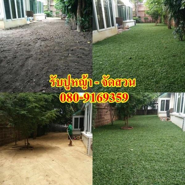 ถมดินรอบบ้าน ปิดโพรงรอบตัวบ้าน กันสัตว์เลื้อยคลาน กันดินไหลเข้าตัวบ้านขายหน้าดินปลูกต้นไม้  080-9169359 4