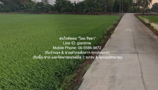 พื้นที่ดิน ขายที่ดินทุ่งนา อ.นครชัยศรี นครปฐม 5-0-0 ไร่ ราคา 15 ล้านบาท ใหญ่ขนาด 5 RAI 0 ngan 0 ตรว. 15000000 THB ใกล้ โ 3