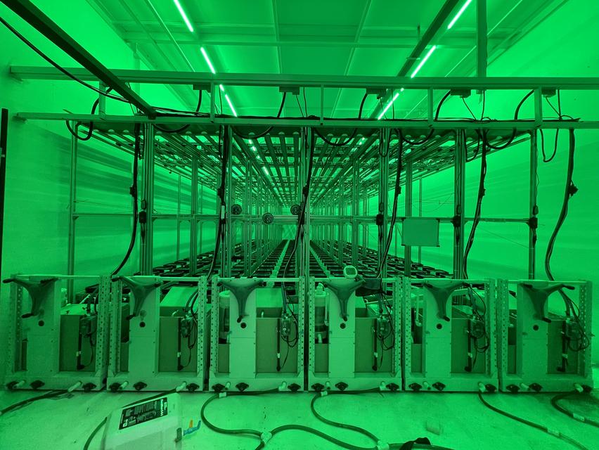 ไฟปลูกต้นไม้ รุ่น MG-4CH-1000W-10