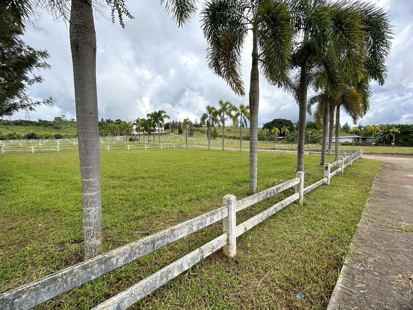 ขายที่ดินจัดสรรแปลงสวยเขาค้อ 7