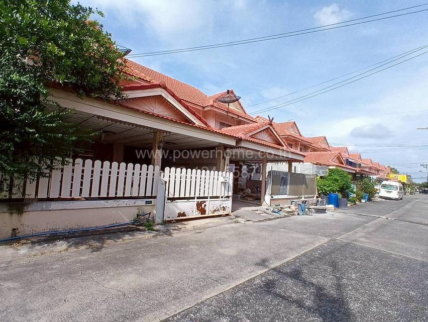 หมู่บ้านพฤกษา ดี คลอง3 ถนนรังสิต – นครนายก ต.คลองสาม อ.คลองหลวง จ.ปทุมธานี 3