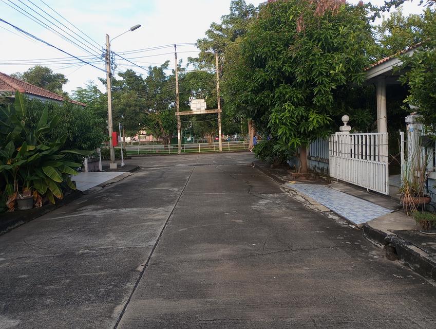 บ้านเดี่ยวหลังใหญ่  คนชอบต้นตอไม้ 18