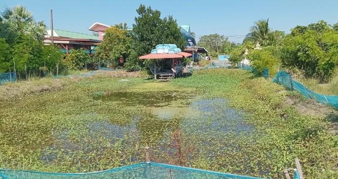 ขายที่ดิน 10