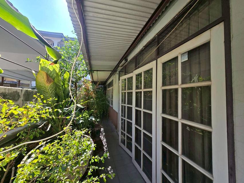 ขายที่ดินแปลงสวย พร้อมบ้าน 2 ชั้น สุขุมวิท 65 ซ.ชัยพฤกษ์แยก10 ใกล้ BTS เอกมัย (N.2023) 6