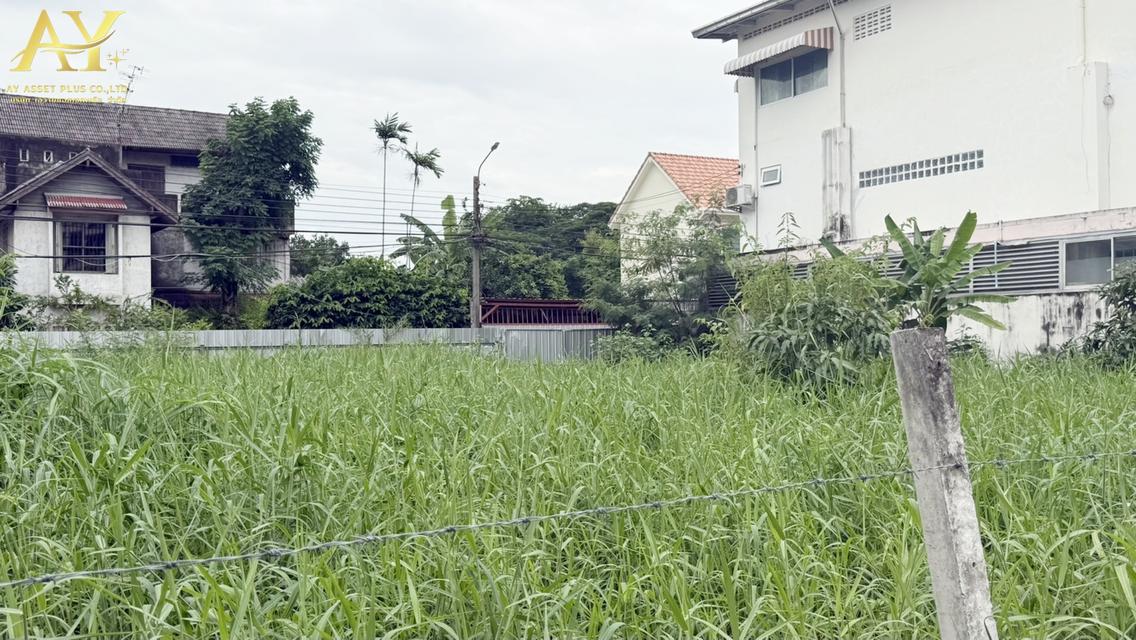 ขายด่วน!ที่ดินถมแล้ว เนื้อที่242ตรว. ตรว. สุคนธสวัสดิ์1 และซ.สุคนธสวัสดิ์3แยก1และซอย ทองนวน2 6