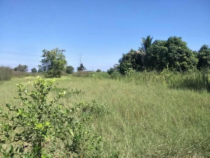 ที่ดินว่างเปล่า 7