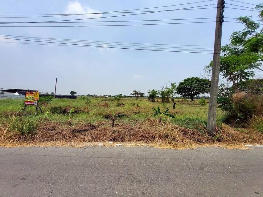 ขายด่วนที่ดิน 143 ตารางวา ติดถนน 2 ด้าน แปลงมุมบึงบอน 3 หนองเสือ ปทุมธานี 4