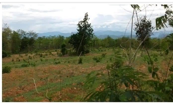 ที่รอออกเอกสารสิทธิ์15ไร่ ยกแปลง800,000วิวเขาติดถนนสาธารณะ รถเก๋งขับเข้าถึงที่ได้เลย ลักษณะที่เป็นเนินสโลบสวยมากค่ะ ติดกับวัดป่านิสโภ(มีลำห้วยกั้น) ห่ 1