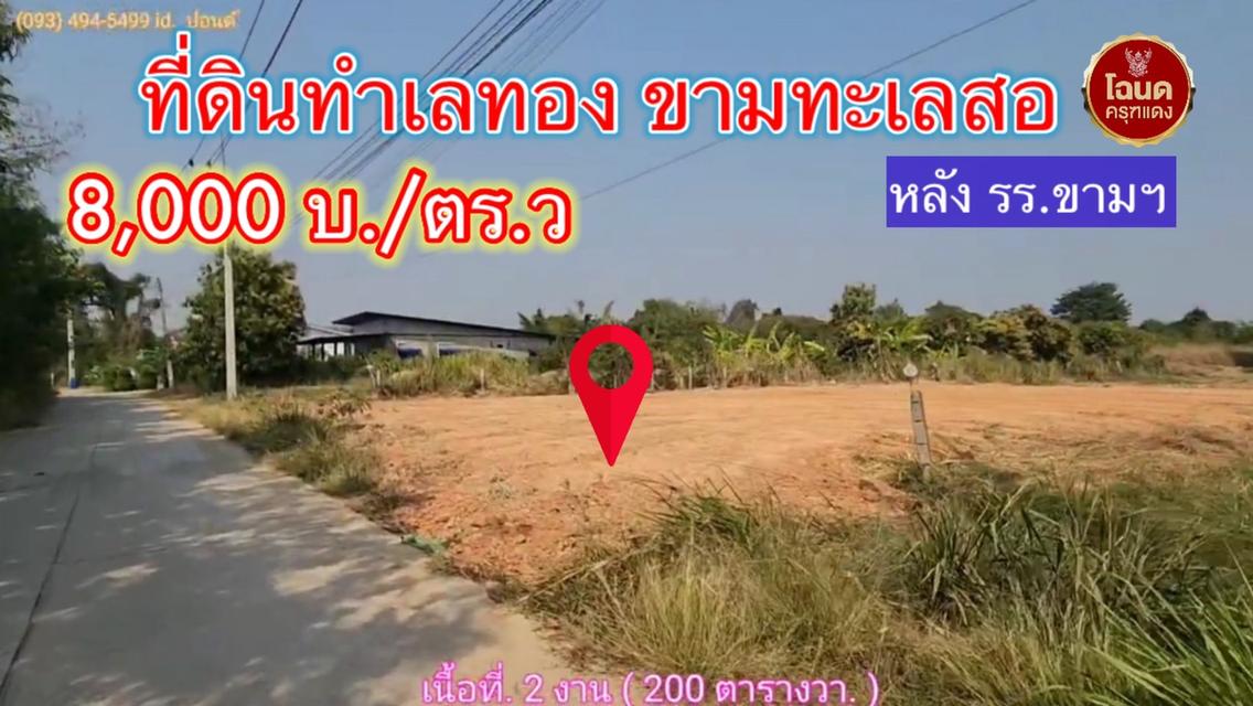 ที่ดินถูกขามทะเลสอโคราช  [ 1.6 ลบ.| 2 งาน. ] ใกล้มอเตอร์เวย์ (M6)  | ( 8,000 บ./ตร.ว.) ถมแล้ว น้ำไม่ท่วม 11