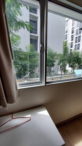 ขายคอนโด My Condo Sukhumvit 81 ห้องใหญ่ ใกล้ BTS อ่อนนุช (Yield 6.2) 4