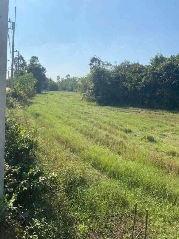 ขายที่ดินหลุดขายฝาก 7 ไร่ – ราคาพิเศษสุดในพื้นที่ อ.ศรีมหาโพธิ จ.ปราจีนบุรี 5