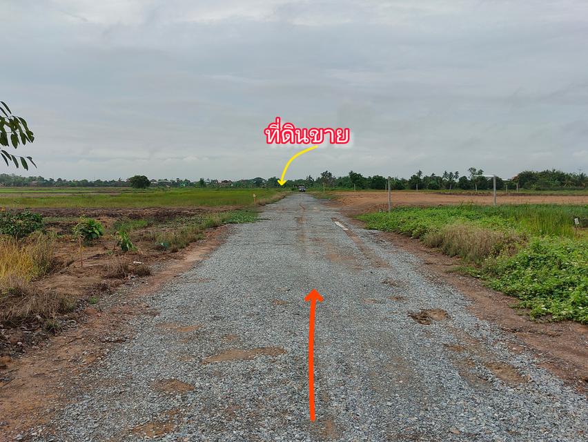 ที่ดิน1ไร่3งาน50ตรว. ต.โคกโคเฒ่า อ.เมือง จ.สุพรรณบุรี