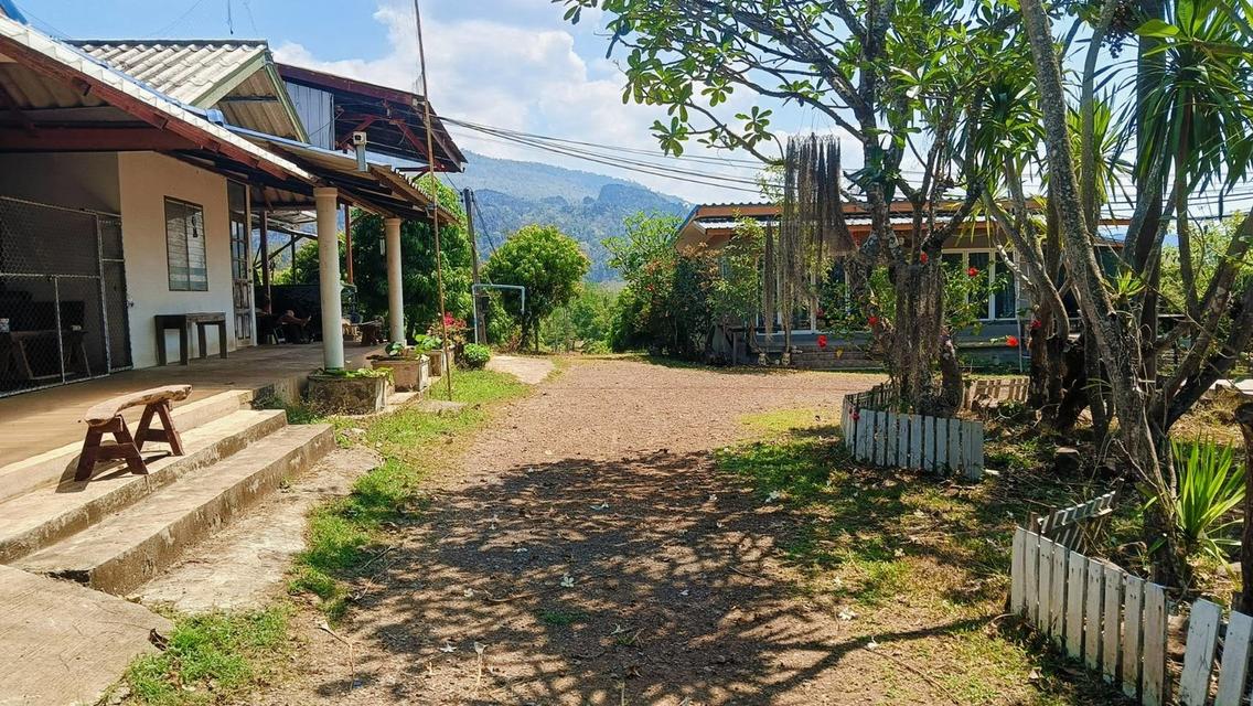 ขายที่ดินจังหวัด พิษณุโลกพร้อมสวน วิวเขา จำนวน 80 ไร่! ใกล้แหล่งท่องเที่ยว  16