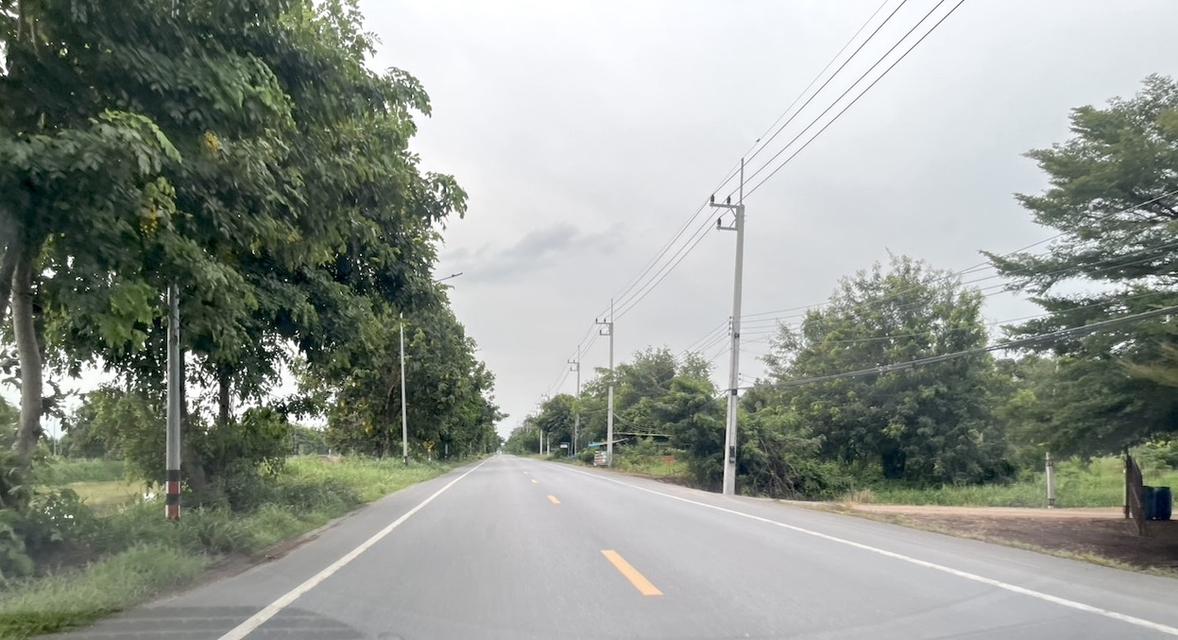 ขายที่ดิน 1 ไร่ คลอง 10 หนองเสือ ปทุมธานี 098 7755 808 2