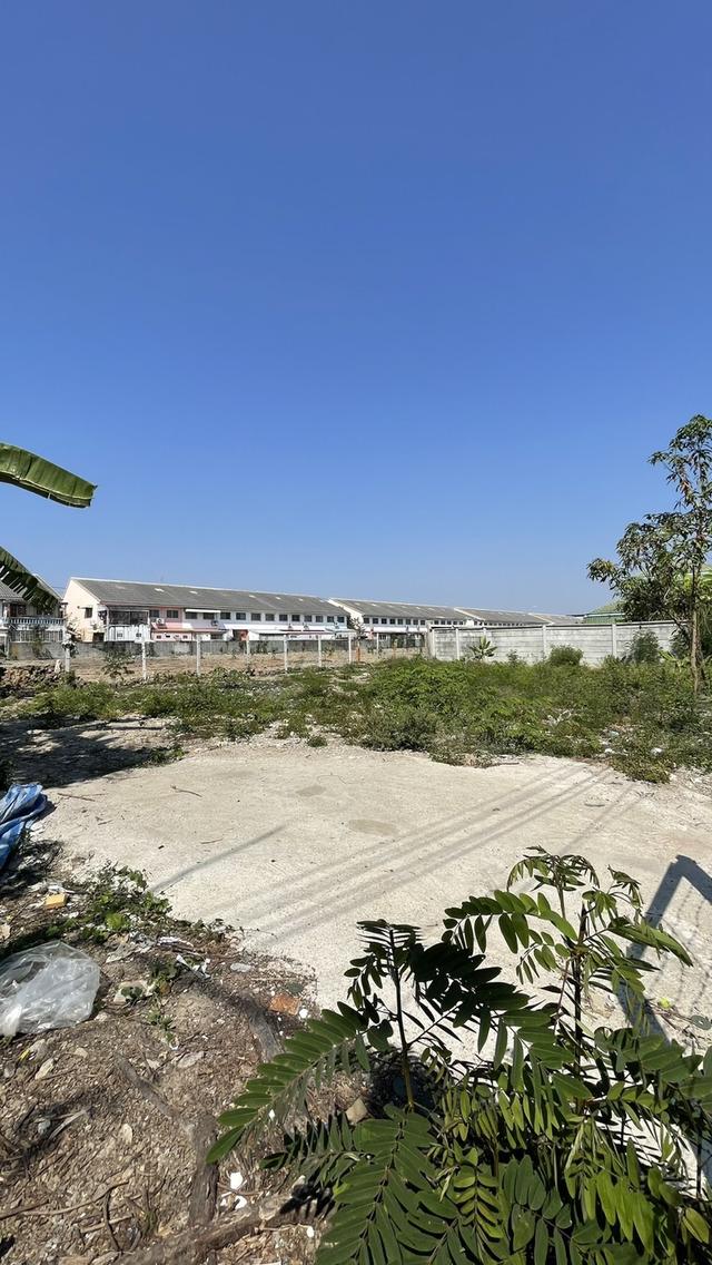 ให้เช่าที่ดินเปล่า ซ.สายไหม 25 4