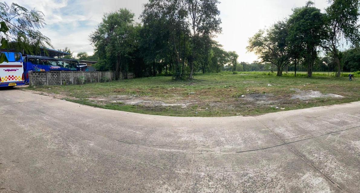 ที่ดิน อ.เมือง จ.อุบลราชธานี 5