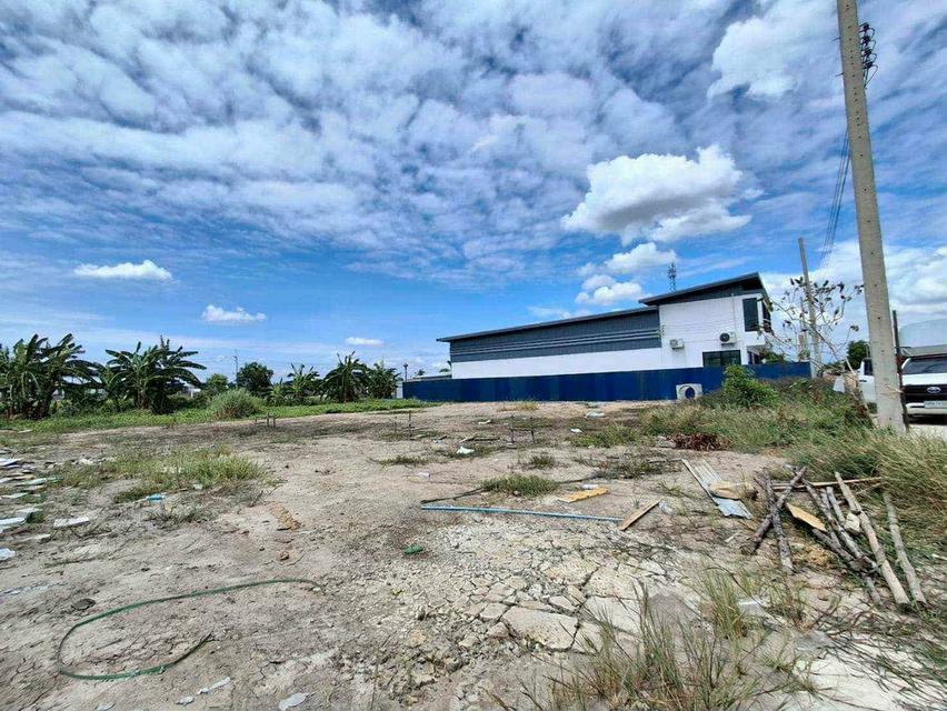 ที่ดิน+โกดัง,โรงงาน,ออฟฟิศ รูปที่ 19