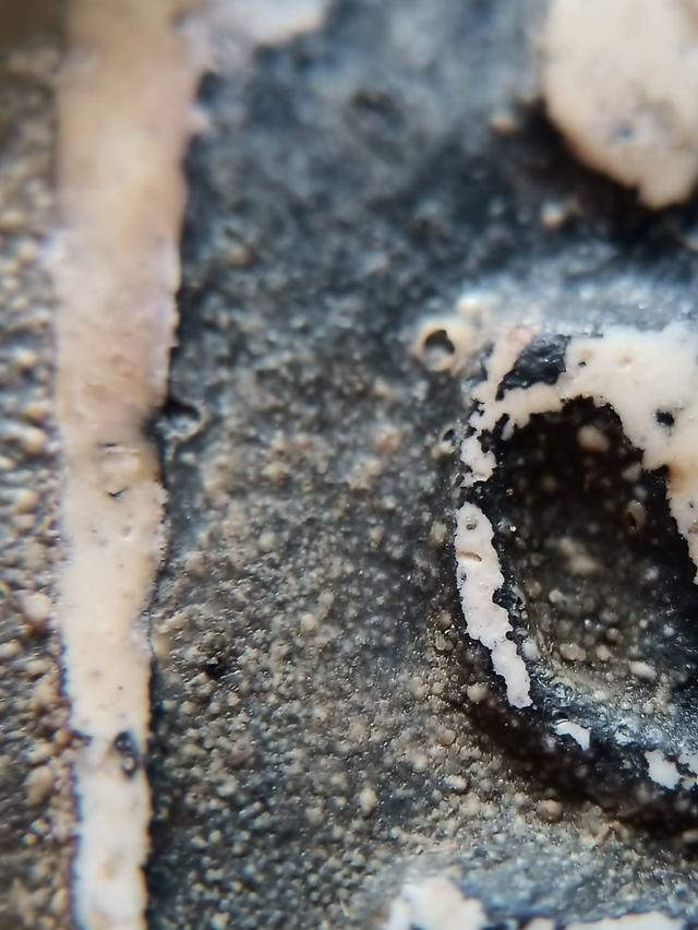 สมเด็จบางขุนพรหม เหนือขึ้นกระเบน เก่ามาก