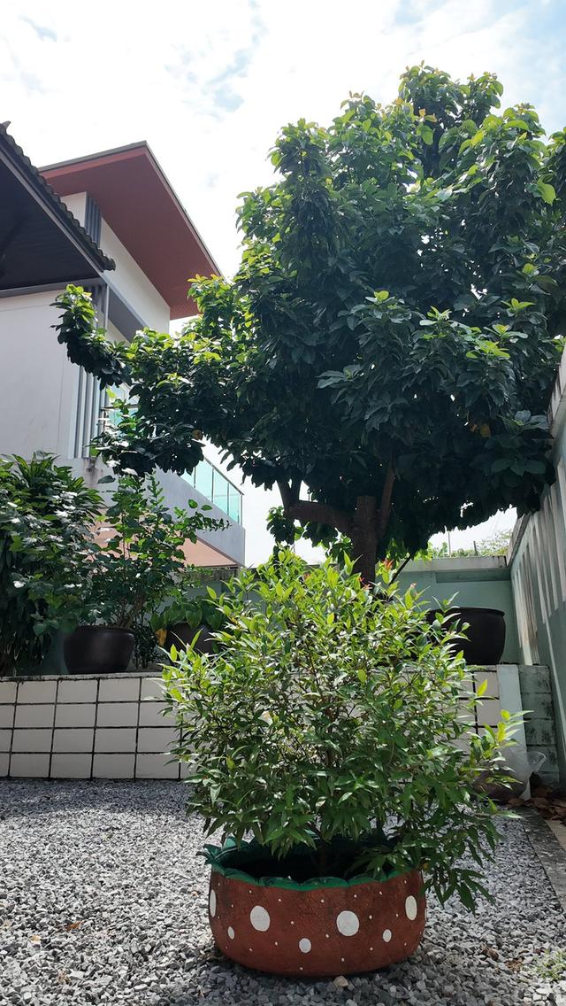 หมู่บ้าน มณีคราม บ้านที่ถูกดีไซน์ด้วยความรัก ความใส่ใจ และความภาคภูมิใจในความเป็นไทย 5