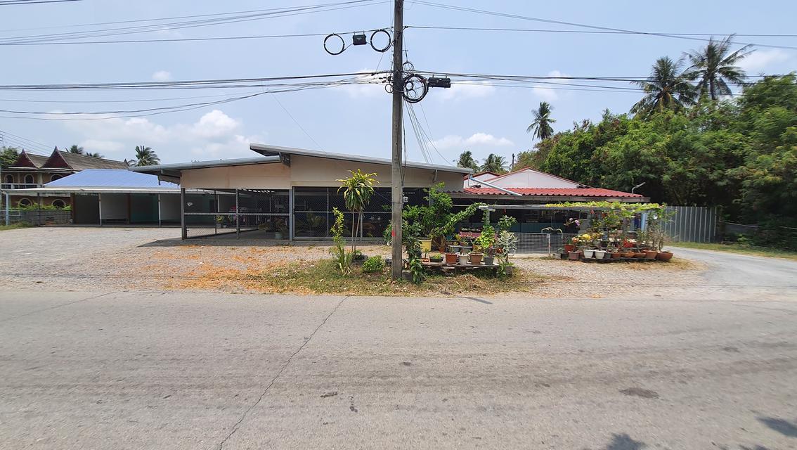 ขายด่วน ขายถูก รีสอร์ท & โฮมสเตย์ ติดแม่น้ำเพชรบุรี ต.บางครก อ.บ้านแหลม  จ.เพชรบุรี 7