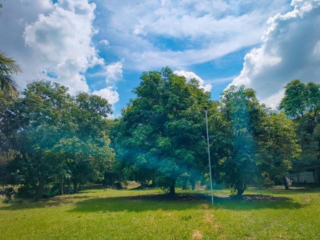 ขายที่ดินทำเลทองพร้อมสิ่งปลูกสร้าง บนเนื้อที่ 18 ไร่ 2 งาน 19 ตารางวา พิษณุโลก 10