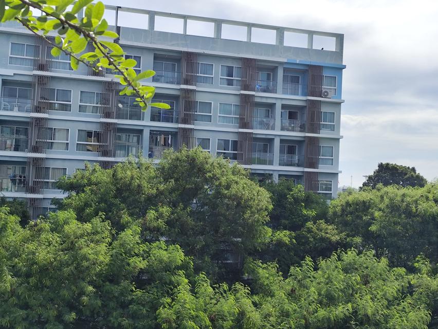 ขายคอนโดห้องสวย พร้อมเฟอร์ตกแต่งแล้วเข้าอยู่ได้เลย นาจอมเทียน สัตหีบ sale condo free fernitures built in 3