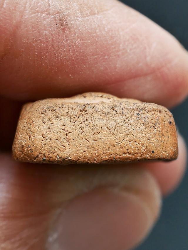 พระหลวงพ่อปาน วัดบางนมโค พิมพ์ขี่นก....เก่า เดิมๆ รูปที่ 11