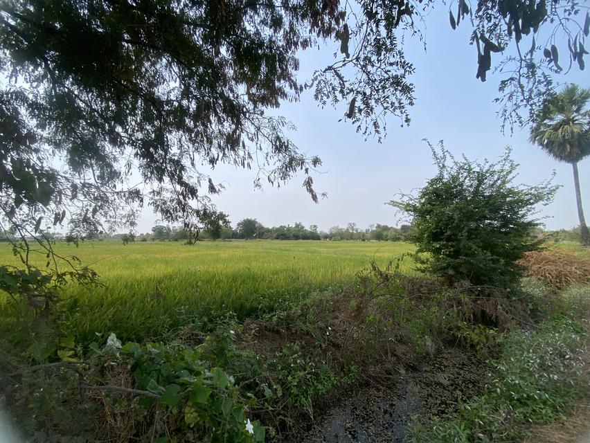 ขายที่ดินแปลงหัวมุมติดหมู่บ้านเนิยสำราญ 4