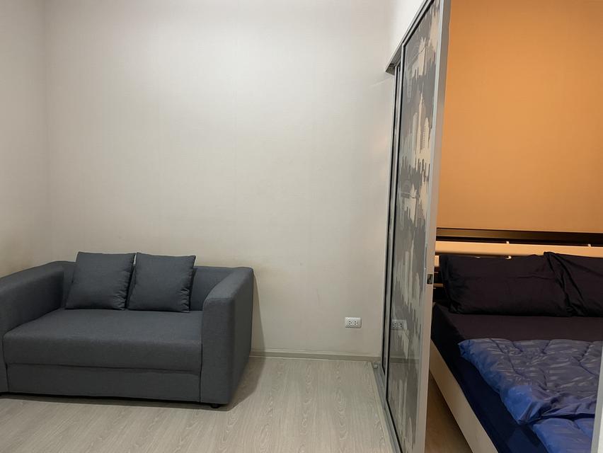 พลัมคอนโดรังสิตให้เช่า 11