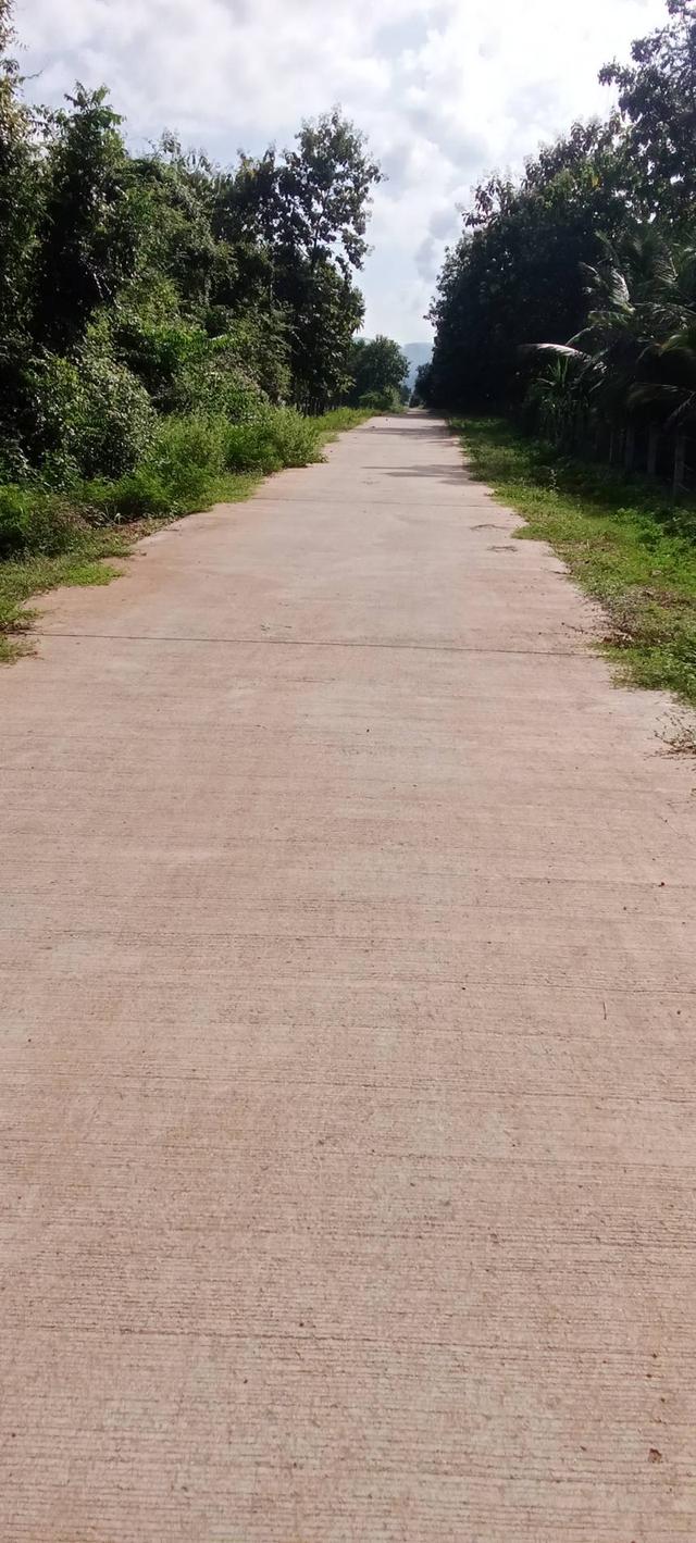ประกาศขายไร่ประเสริฐชัย ด่วน 6