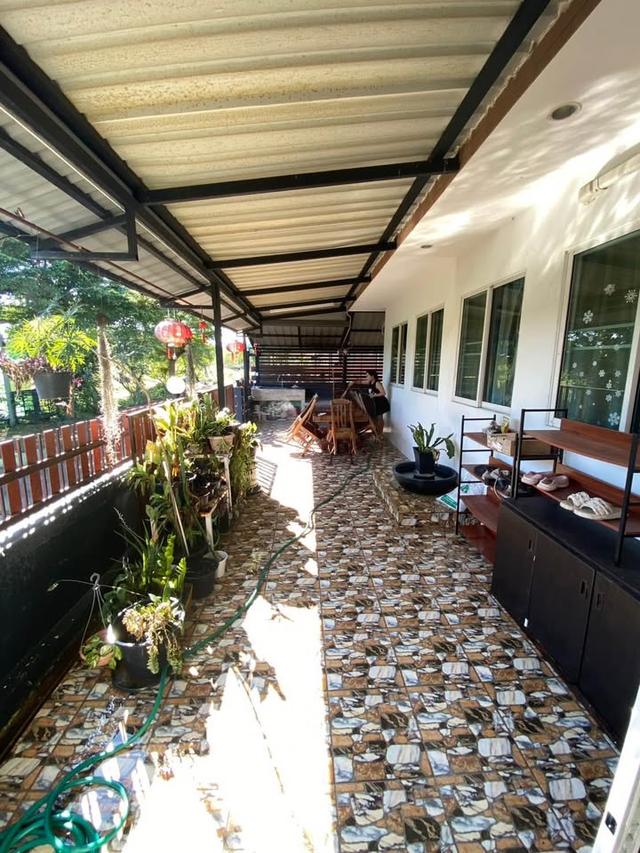 🏡 บ้านเดี่ยวชั้นเดียวทำเลแม่โจ้ ใกล้ตลาด มหาวิทยาลัยแม่โจ้ โรงพยาบาล #สันทราย ราคาเพียง 10,000 บาท/เดือน ✨ 清迈独栋平层别墅出租 4 卧室 2 卫生间 – 租金 10,000 泰铢/月 ✨ 10