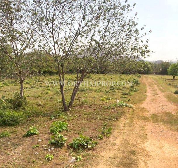 ที่ดินถมแล้ว 9 แปลง แบ่งขาย ใกล้โรงพยาบาลแก่งคอย ต.บ้านป่า อ.แก่งคอย สระบุรี 6