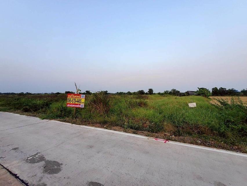 ขายด่วนที่ดิน 400 ตรว ติดถนนสาธารณะ ลาดหลุมแก้ว ปทุมธานี 4