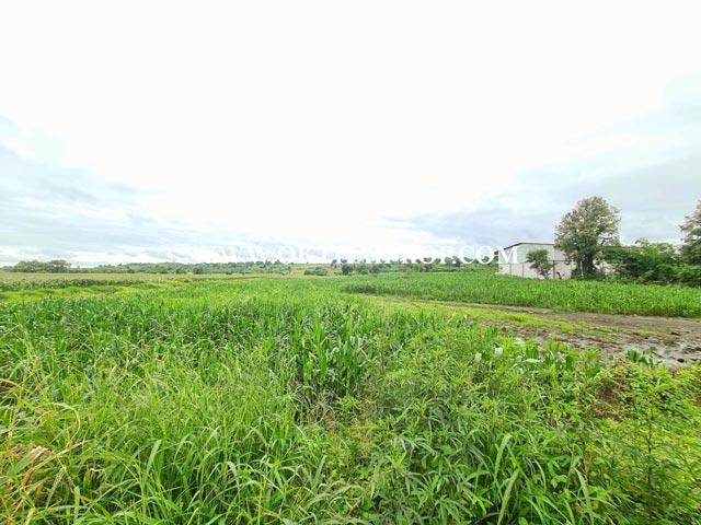ที่ดิน ใกล้โรงเรียนซับบอนวิทยาคม ทางหลวงหมายเลข 225 ต.กันจุ อ.บึงสามพัน จ.เพชรบูรณ์ 8