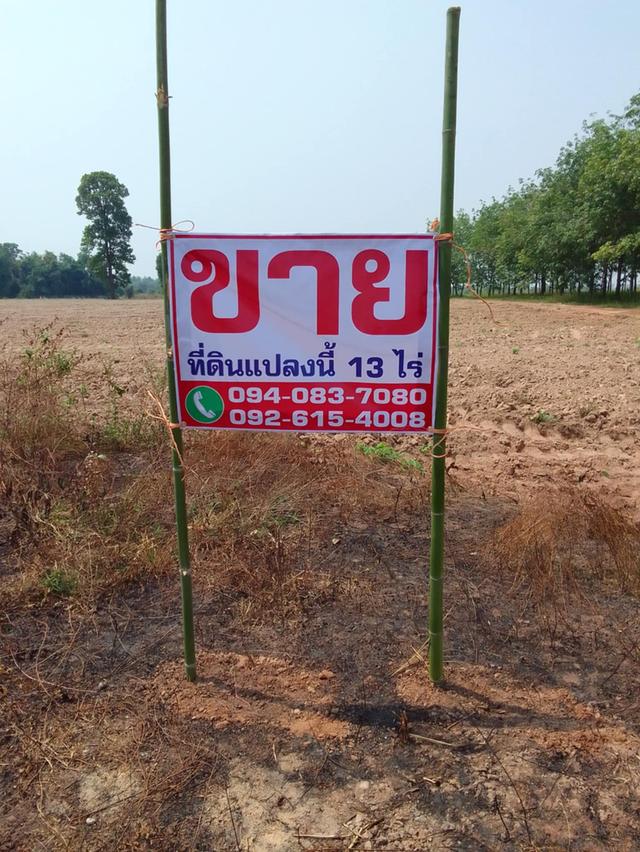 ขายด่วน ❗ที่ดิน 13 ไร่ พร้อมโฉนด ติด อ.หหนองหาน จ.อุดรธานี 1
