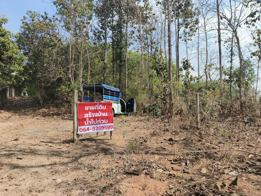 ขายที่สร้างบ้านน่าน ใกล้อำเภอเมือง น้ำไม่ท่วม 1