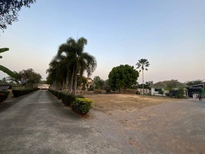 ✨️ขายที่ดินแปลงสวยติดถนนใหญ่  (เส้นบ้านแพ้ว-นครปฐม) หน้าติดถนน...หลังติดคลอง ✨️ 5