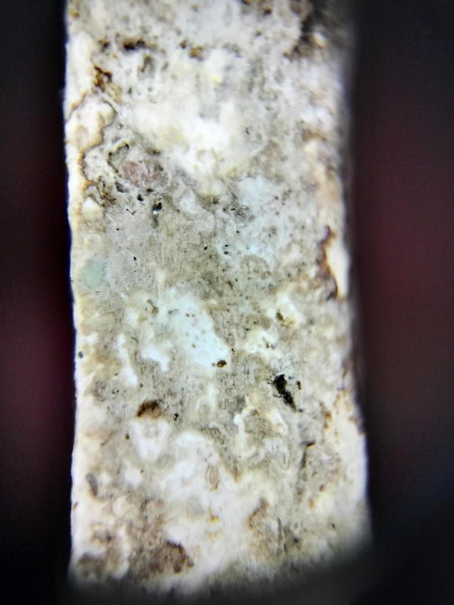 Phra Somdej Wat Rakhang รูปที่ 10