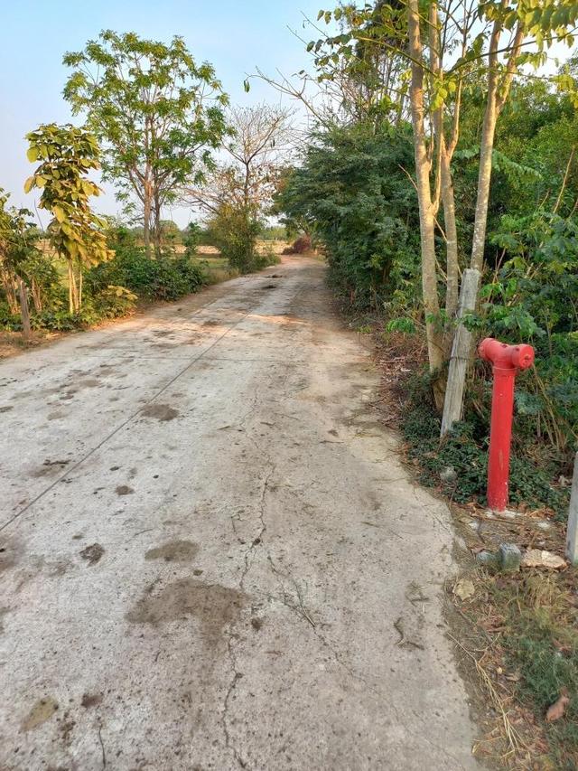 ขายที่ดินในจ.ฉะเชิงเทรา1.5แสนบาท 6