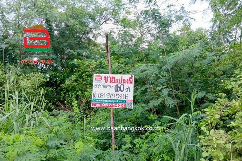 ที่ดินเปล่า ซอยสามร้อยยอด 1 เนื้อที่ 60 ตร.ว (ใกล้หาดสามร้อยยอด) ถนนเพชรเกษม ตำบลสามร้อยยอด อำเภอสามร้อยยอด จังหวัดประจวบคีรีขันธ์ 1