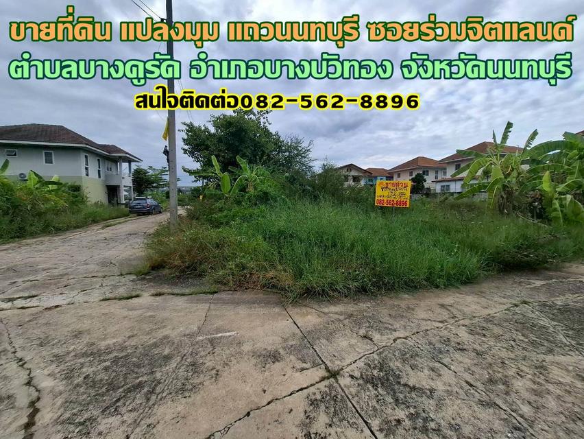 ขายที่ดิน แปลงมุม แถวนนทบุรี ซอยร่วมจิตแลนด์ บางคูรัด นนทบุรี 1