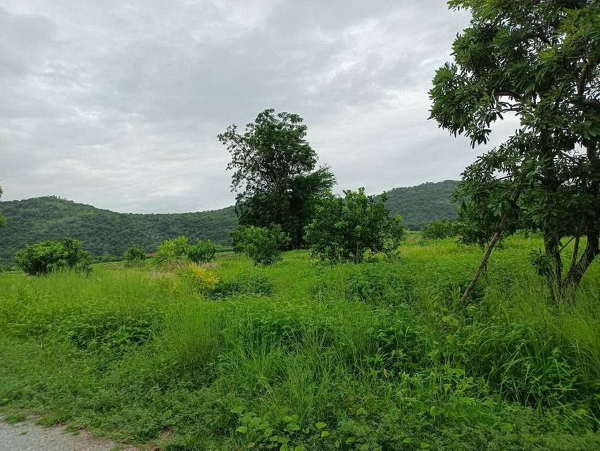 ขายบ้านสวน พร้อมที่ดิน!!!มีโฉนดครุฒแดง เนื้อที่ 1 ไร่ 37 ตารางวา ราคา1,200,000บาท ต่อรองได้ ขายเองไม่รับนายหน้าครับ ตั้งอยู่ทุ่งดินดำรีสอร์ทจังหวัดสุพ 8