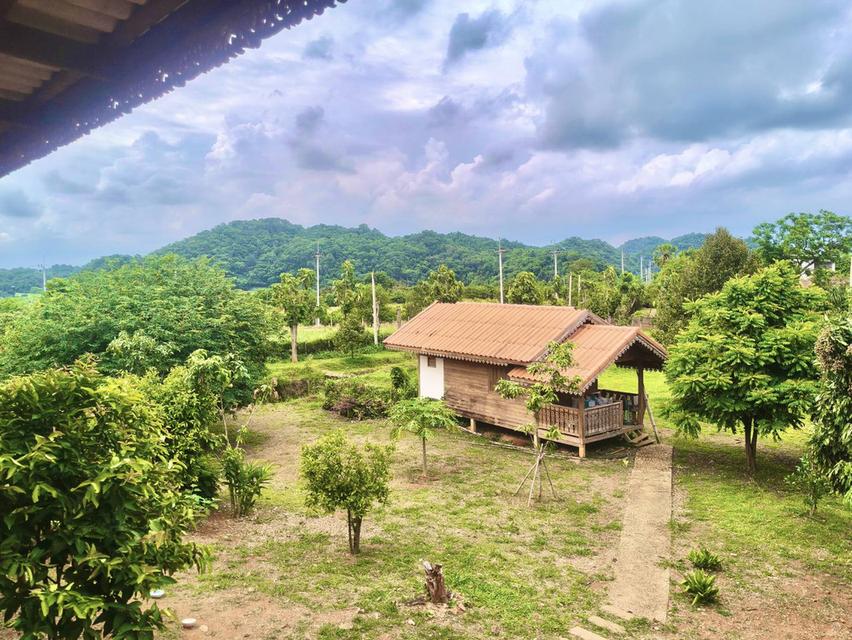 ขายที่สวนทุเรียน เขาใหญ่ ปากช่อง บ้านสวนผลไม้ คลองม่วง นครราชสีมา ที่ดิน 11 ไร่ บ้านไม้เรือนไทย ใกล้ภูเขา วิวเขาล้อมรอบสวยมาก ที่สูงอากาศดี 0879074045 11