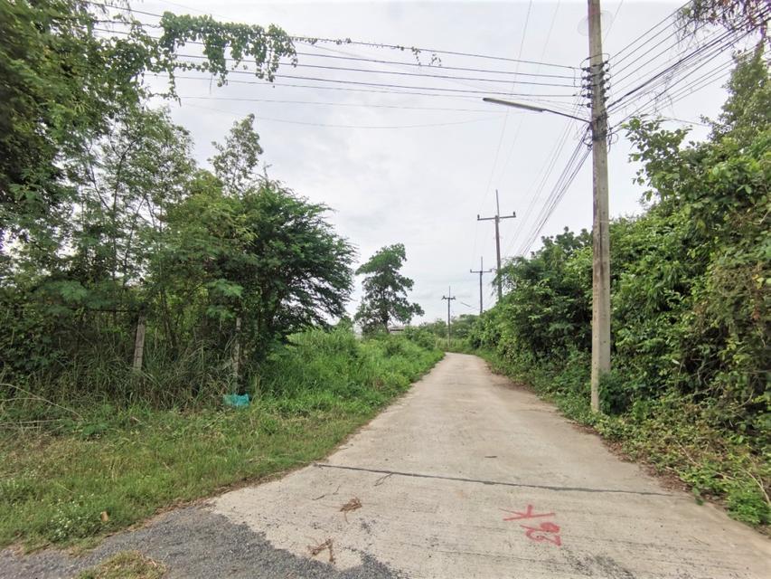 ขาย ที่ดิน ME316 ทำเลดี ใกล้โลตัส ปั๊ม แยกเกาะโพธิ์ ท่าบุญมี เกาะจันทร์ ชลบุรี. 1 ไร่ 1 งาน 32 ตร.วา เหมาะสร้างบ้านจัดสร 6