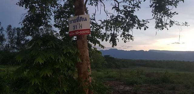 สนใจราคาเงื่อนไขคุยตรงเจ้าของได้ ด้วยทรัพย์ดีทวีมูลค่า ธรรมชาติเนินเขา ที่ดินโฉนดแบ่งขาย หล่มเก่า เพชรบูรณ์ ใกล้ภูทับเบิ