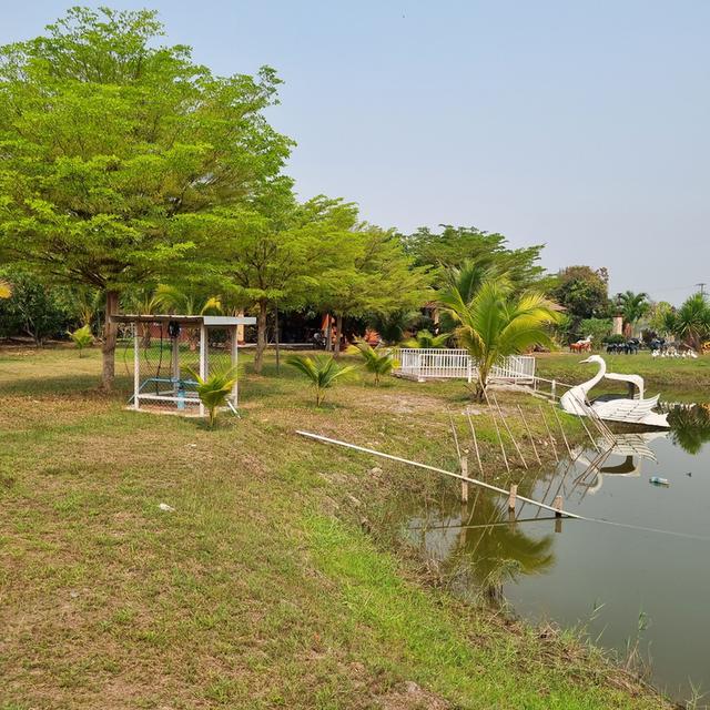ขายบ้านและที่ดินสวนรวมพื้นที่ 4ไร่ 2งาน ต.กนหนิงผึ้ง อ.สารภี จ.เชียงใหม่ 3