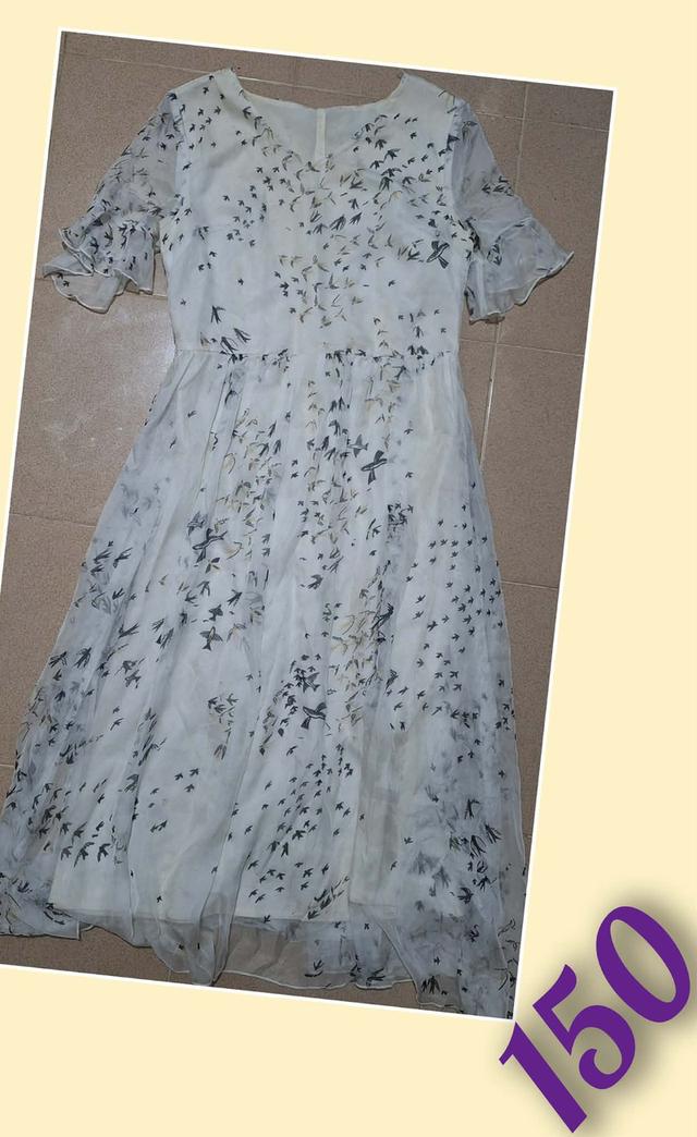 ขายเหมาชุดผู้หญิงมือสอง 9 ตัว ราคาเดียว รูปที่ 7