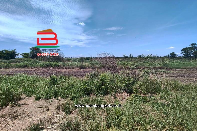 ที่ดิน เนื้อที่ 150 ตร.ว. คลอง 22 ศีรษะกระบือ ใกล้วัดราษฏร์ศรัทธาธรรม ถนนลำลูกกา ตำบลศีรษะกระบือ อำเภอองครักษ์ นครนายก 3