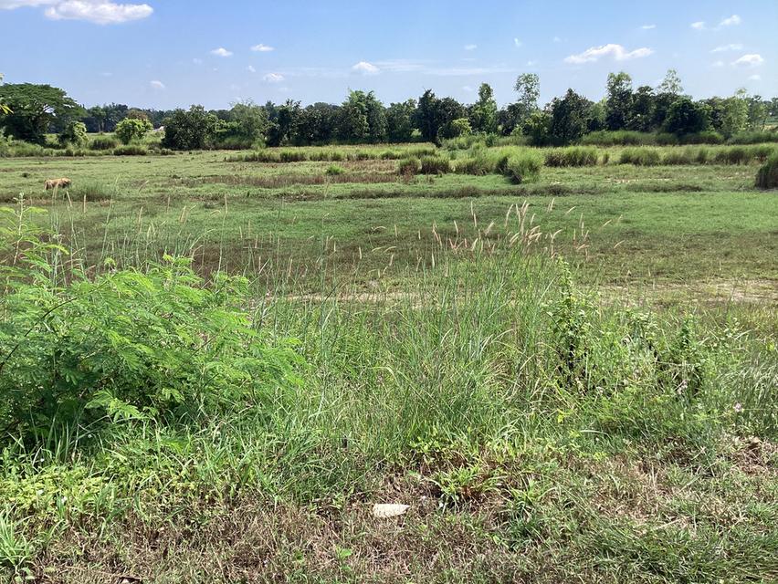 ขายที่ดินสร้างที่พักตากอากาศ,พูลวิลล่า